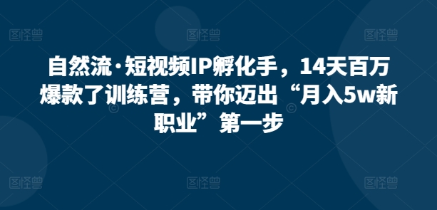 自然流·短视频IP孵化手，14天百万爆款了训练营，带你迈出“月入5w新职业”第一步