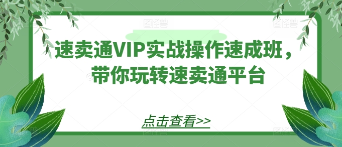 速卖通VIP实战操作速成班，带你玩转速卖通平台