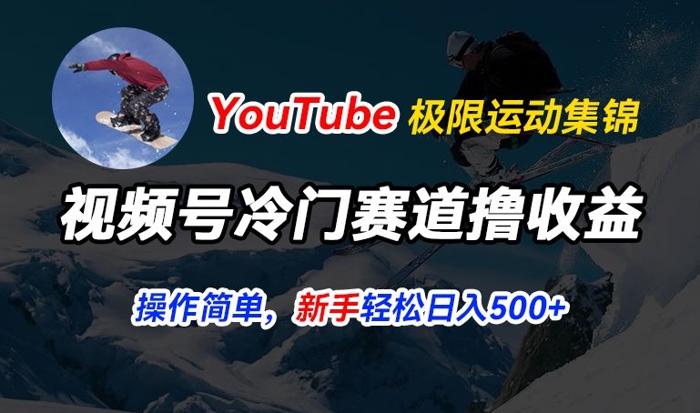 视频号冷门赛道撸收益，YouTube搬运极限运动集锦，暴力起号，操作简单流量高，轻松日入5张【揭秘】