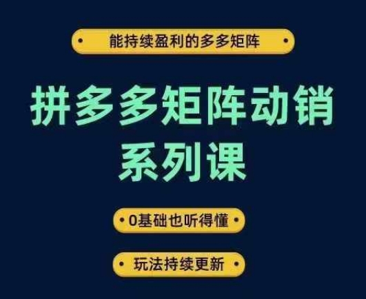 拼多多矩阵动销系列课，能持续盈利的多多矩阵，0基础也听得懂，玩法持续更新