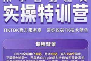 Seven漆·2022Tiktok从小白到精英实操特训营，带你掌握Tiktok账号运营