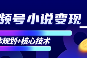 柚子微信视频号小说变现项目，全新玩法零基础也能月入10000+【核心技术】