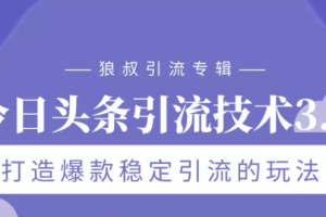 狼叔今日头条引流技术3.0，打造爆款稳定引流的玩法，VLOG引流技术