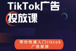 跨境B哥tiktok广告投放课，带你快速入门tiktok广告投放价值1680元