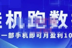 猎人电商:挂机数跑‬据，只需一部手即机‬可月盈利10万＋（内玩部‬法）价值4988元