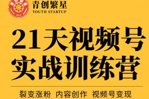 张萌21天视频号实战训练营，裂变涨粉、内容创作、视频号变现 价值298元