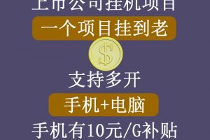 正规挂机项目，支持手机电脑一起挂，支持虚拟机多开，可以挂到老