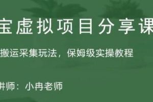 淘宝虚拟整店搬运采集玩法分享课：整店搬运采集玩法，保姆级实操教程