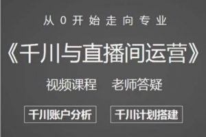 阳光哥·千川图文与直播间运营，从0开始走向专业，包含千川短视频图文、千川直播间、小店随心推