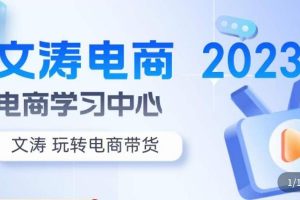 文涛电商·7天零基础自然流起号，​快速掌握店铺运营的核心玩法，突破自然展现量，玩转直播带货