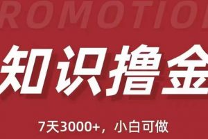 抖音知识撸金项目：简单粗暴日入1000+执行力强当天见收益(教程+资料)