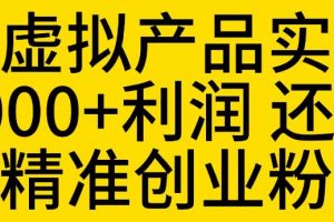 拼多多虚拟产品实操流程，月产5000+利润，还能引流精准创业粉【揭秘】