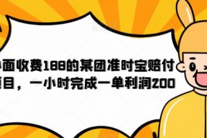 外面收费188的美团准时宝赔付项目，一小时完成一单利润200【仅揭秘】