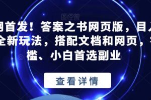 全网首发！答案之书网页版，目入2K，全新玩法，搭配文档和网页，零门槛、小白首选副业【揭秘】