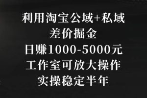 利用淘宝公域+私域差价掘金，日赚1000-5000元，工作室可放大操作，实操稳定半年【揭秘】