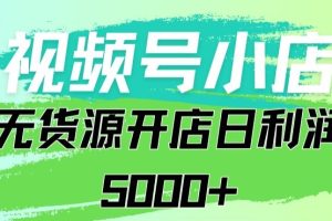 视频号无货源小店从0到1日订单量千单以上纯利润稳稳5000+【揭秘】