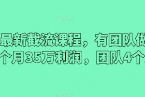 2024最新截流课程，有团队做截流一个月35万利润，团队4个人