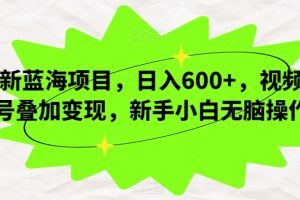 新蓝海项目，日入600+，视频号叠加变现，新手小白无脑操作【揭秘】