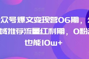 AI公众号爆文变现营06期，公众号公域推荐流量红利期，0粉起号也能10w+