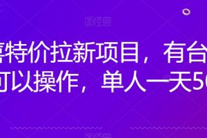 京喜特价拉新新玩法，有台电脑就可以操作，单人一天500+【揭秘】