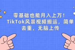 零基础也能月入上w，TikTok风景视频搬运，简单去重，无脑上传【揭秘】