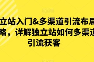 独立站入门&多渠道引流布局策略，详解独立站如何多渠道引流获客