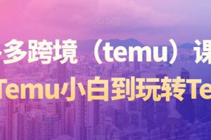 拼多多跨境（temu）课程，从Temu小白到玩转Temu