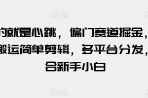 玩的就是心跳，偏门赛道掘金，视频搬运简单剪辑，多平台分发，适合新手小白【揭秘】