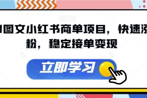 AI图文小红书商单项目，快速涨粉，稳定接单变现【揭秘】