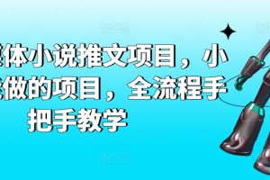 AI自媒体小说推文项目，小白也能做的项目，全流程手把手教学