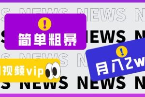 简单粗暴零成本，高回报，全网视频VIP掘金项目，月入2万＋【揭秘】