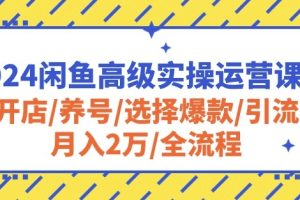 2024闲鱼高级实操运营课程：开店/养号/选择爆款/引流/月入2万/全流程