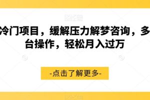 超冷门项目，缓解压力解梦咨询，多平台操作，轻松月入过万【揭秘】