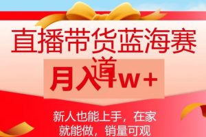 虚拟产品3个月变现8W+，小学教辅项目完整变现SOP操作教程(教程+资料)