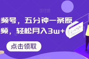 抖音视频号，五分钟一条原创视频，轻松月入3w+【独家秘诀，传授赚钱方法】【揭秘】