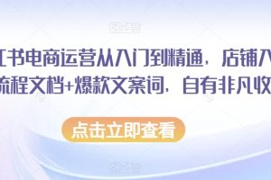 小红书电商运营从入门到精通，店铺入住全流程文档+爆款文案词，自有非凡收获