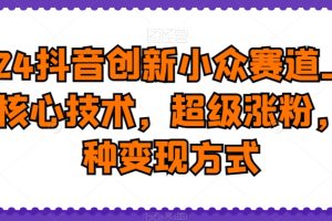 2024抖音创新小众赛道上热门核心技术，超级涨粉，多种变现方式【揭秘】