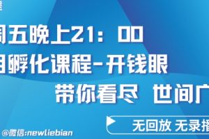 4.26日内部回放课程《项目孵化-开钱眼》赚钱的底层逻辑【揭秘】