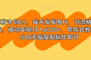 男粉计划6.0，每天发发图片，引流精准男粉，被动变现月入8000+，喂饭式教学，小白无脑复制操作即可