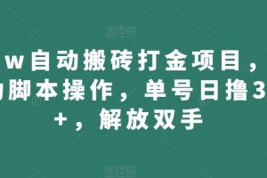 wow自动搬砖打金项目，全自动脚本操作，单号日撸300+，解放双手【揭秘】