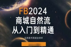 2024Faceboo商城自然流(从入门到精通)，玩转脸书商城全闭环