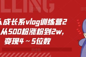 个人成长系vlog训练营2期，从500粉涨粉到2w，变现4～5位数