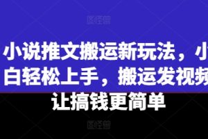 小说推文搬运新玩法，小白轻松上手，搬运发视频让搞钱更简单