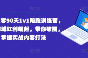 实体获客90天1v1陪跑训练营，实体同城红利崛起，带你破圈，掌握实战内容打法