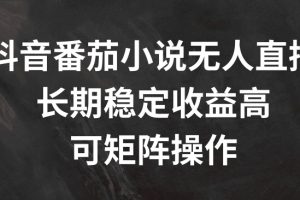 抖音番茄小说无人直播，长期稳定收益高，可矩阵操作【揭秘】