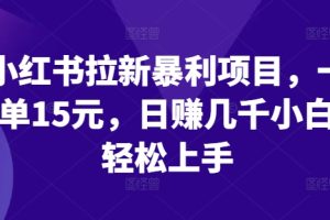 小红书拉新暴利项目，一单15元，日赚几千小白轻松上手【揭秘】