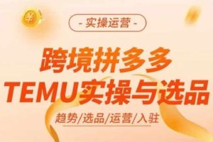 跨境拼多多TEMU实操与选品，多多temu跨境选品运营实操