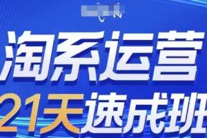 淘系运营21天速成班(更新24年8月)，0基础轻松搞定淘系运营，不做假把式