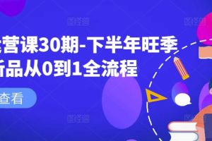 淘系运营课30期-下半年旺季新品从0到1全流程