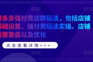 拼多多强付费店群玩法，包括店铺基础设置、强付费玩法实操、店铺运营复盘以及优化